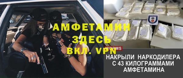 стаф Алексин